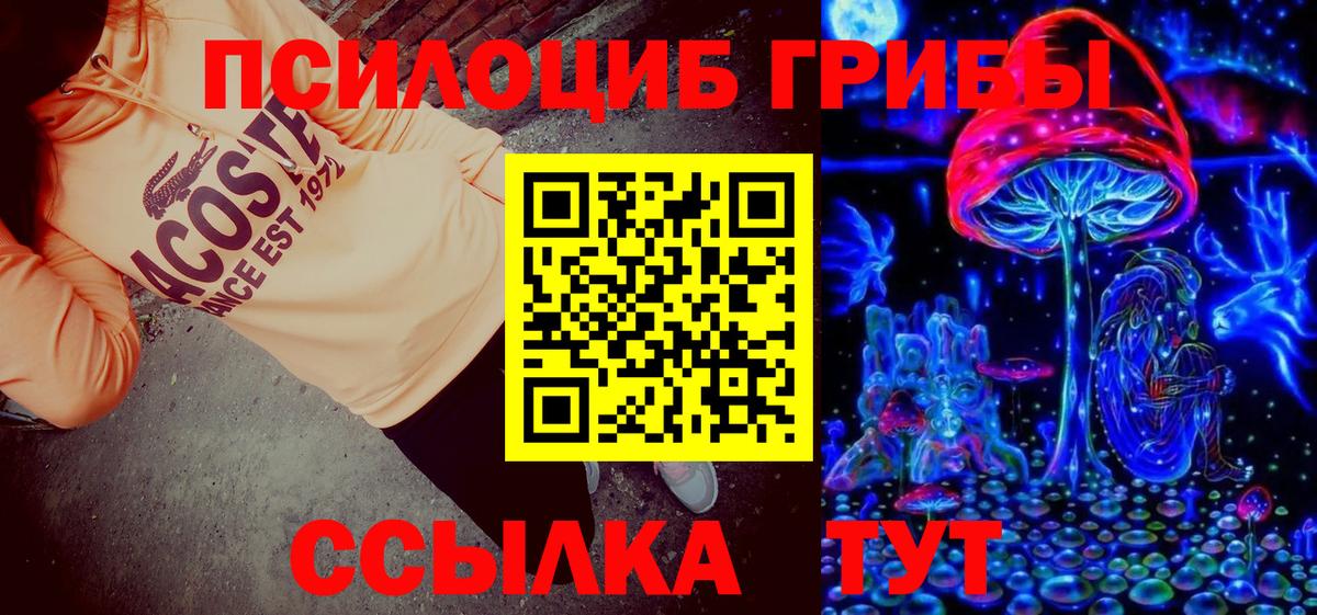 Жуковский  Псилоцибиновые грибы Psilocybe  Галлюциногенные грибы GOLDEN TEACHER  Вход с VPN 