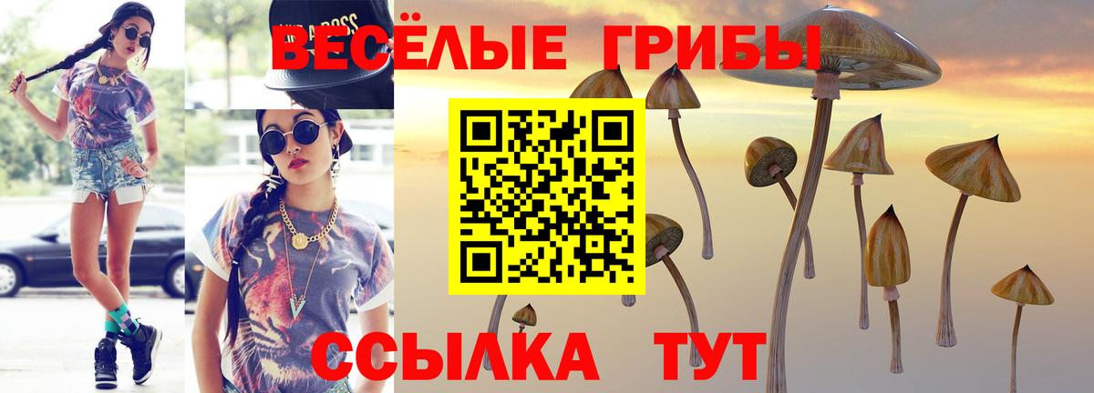 Псилоцибиновые грибы GOLDEN TEACHER Жуковский
